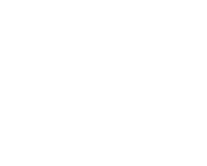 Ministry NGHA logo white
